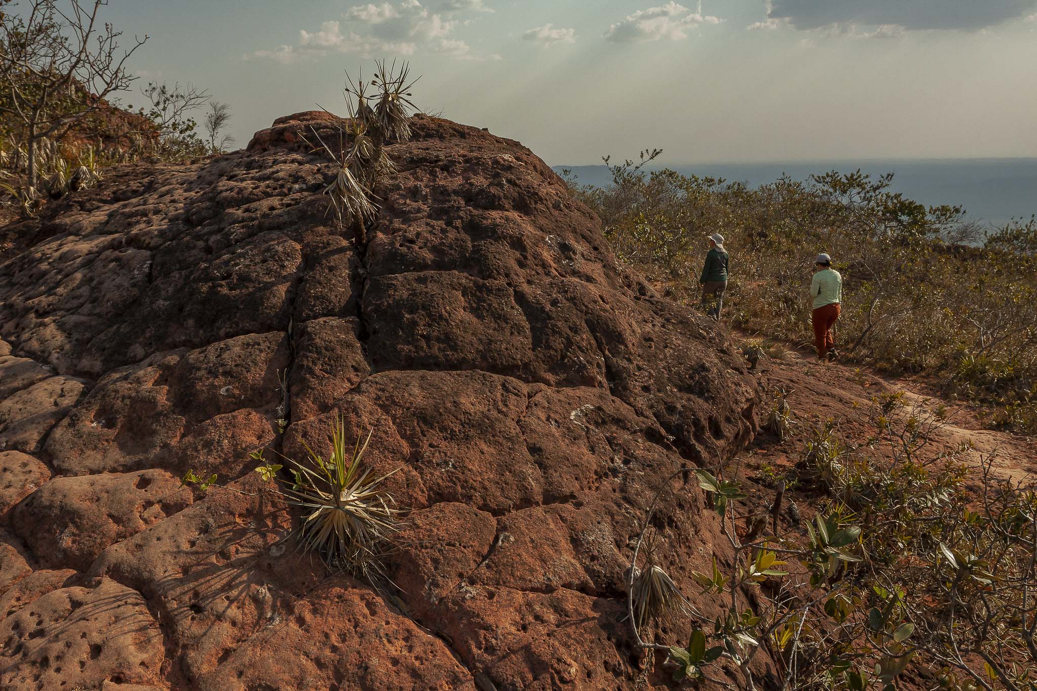Imagem Expedição Chap Guim - ESEC Serra das Araras--53 da expedição de expedicoes/araras_25